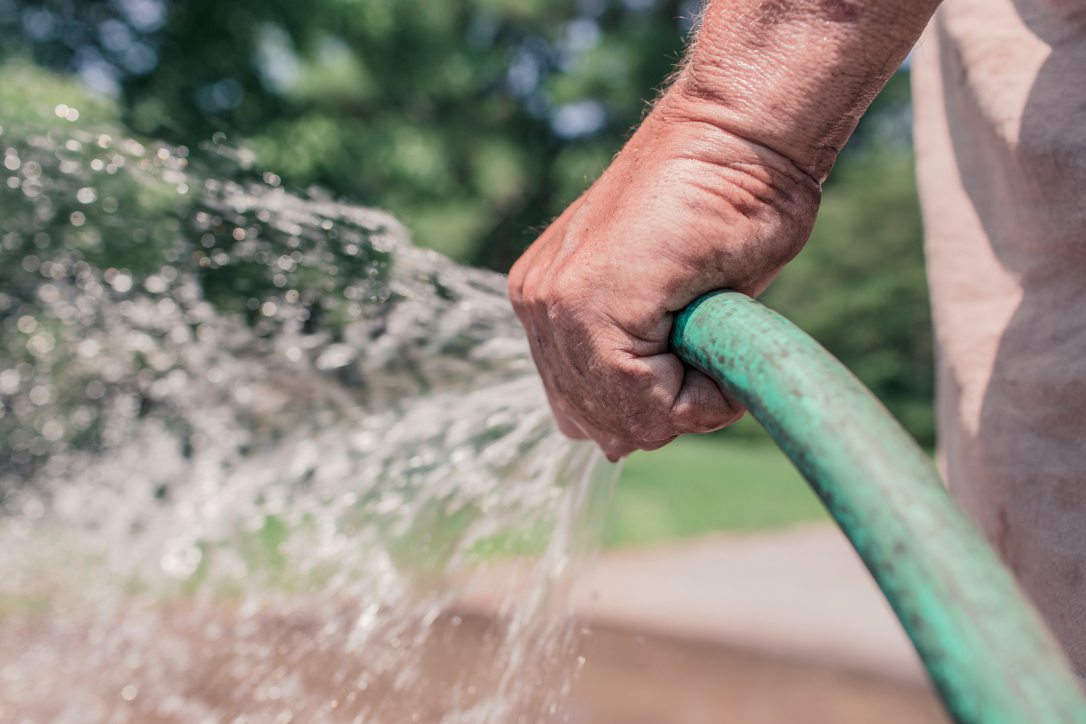 Gardener in Chelmsford